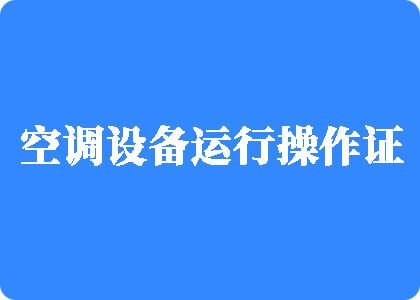 大鸡巴插小穴潮喷视频制冷工证